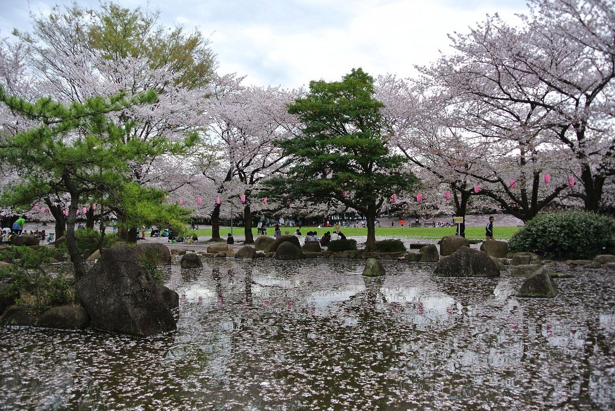 🌳 와라비 시민 공원 (蕨市民公園) 이미지 1